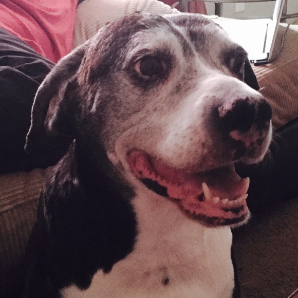 Meet your Posher, Tricia - Picture 3 of 4